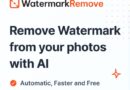 Watermark remove